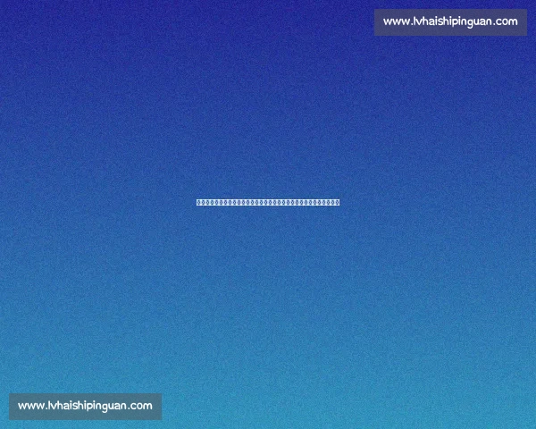 迪马济奥：乌迪内斯与维特塞尔谈判陷入僵局，比利时中场考虑多队报价